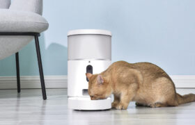 pet feeder